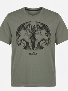 Lebron James Nike Dri-Fit Graphic Collab T-Shirt Mens XXL Olive Black